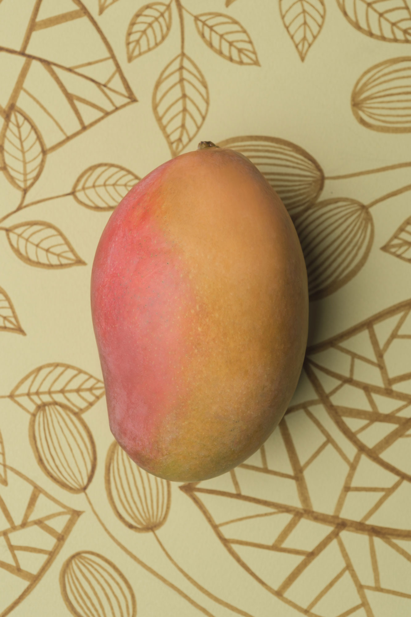 Mango Fruit